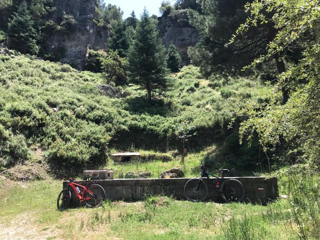 Casa Petra : Bonita Casa Rural En Yunquera Luaran gambar